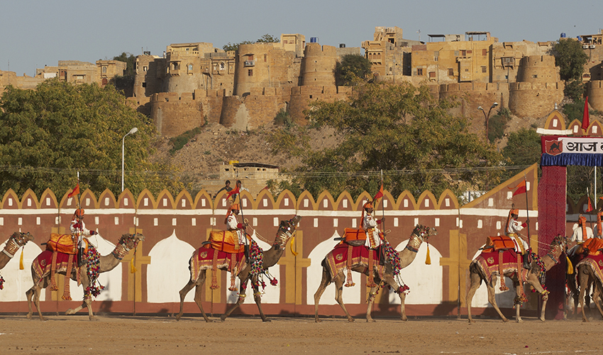 Desert Festival